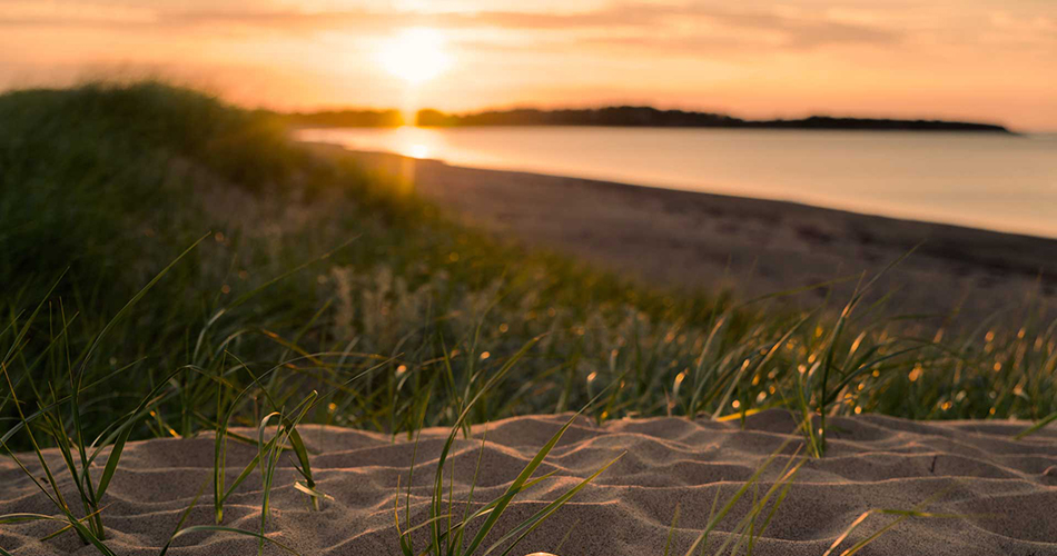 MELMERBY DUNE GRASS SUNSET